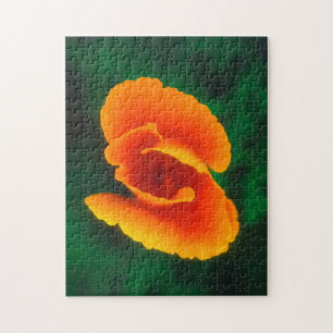 Mohn Puzzle