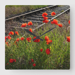 Mohn  quadratische wanduhr