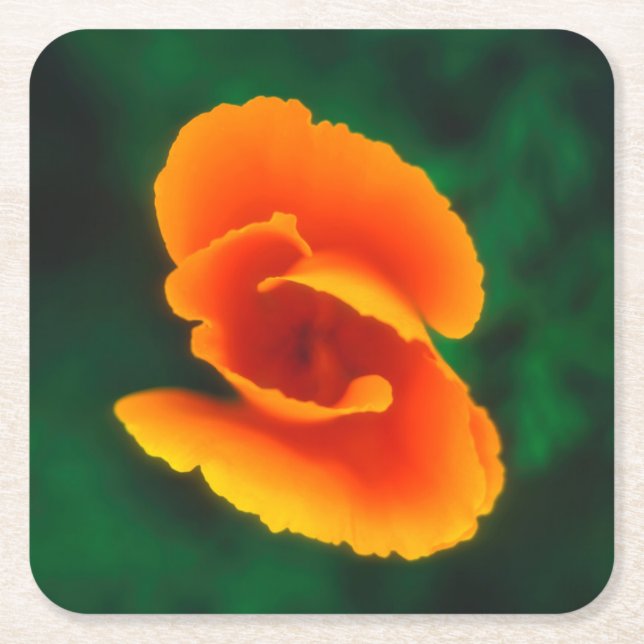 Mohn Rechteckiger Pappuntersetzer (Vorderseite)