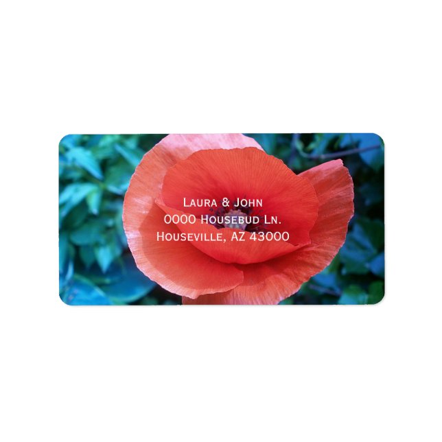 Mohn. Rote Blume. Adressaufkleber (Vorne)