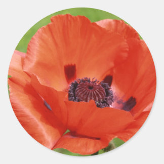 Mohn Runder Aufkleber