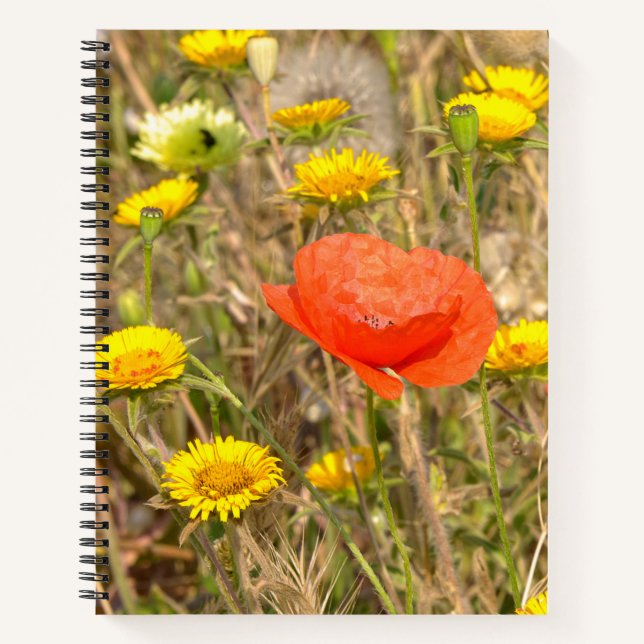 Mohn und gelbe Gänseblümchen Notizbuch (Vorderseite)