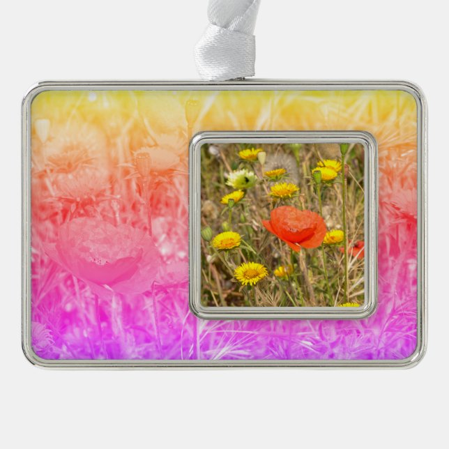 Mohn und gelbe Gänseblümchen Rahmen-Ornament Silber (Vorderseite)