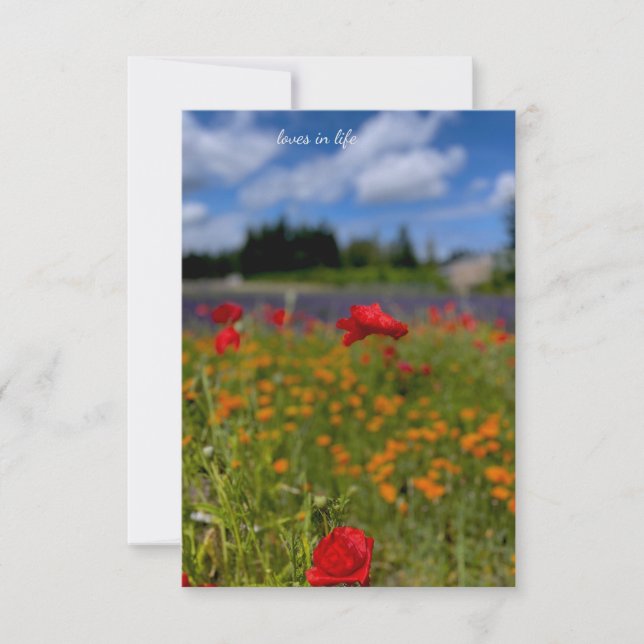 Mohn- und Lavendelfeld Mitteilungskarte (Vorderseite)
