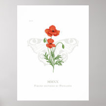 Mohn- und Pfauenschmetterlingposter