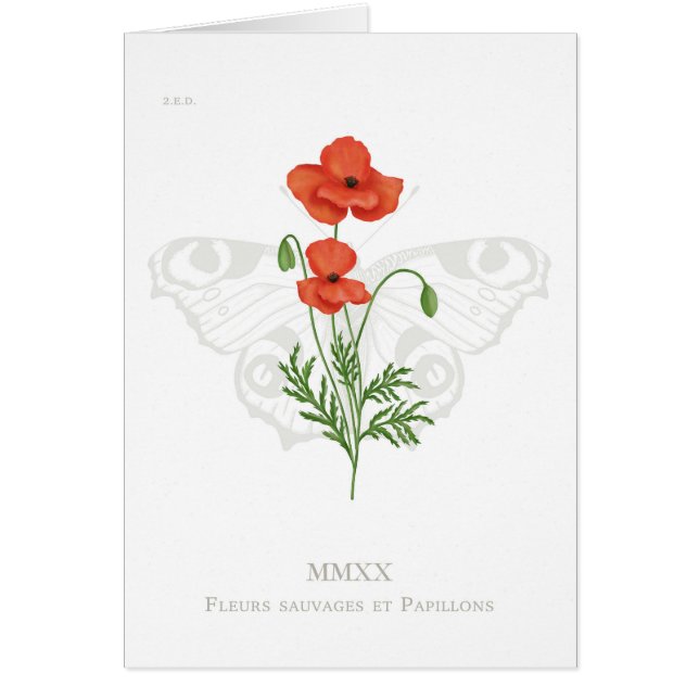 Mohn- und Pfauenschmetterlingskarte (Vorne)