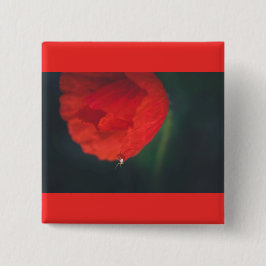 Mohn und Spinne Button