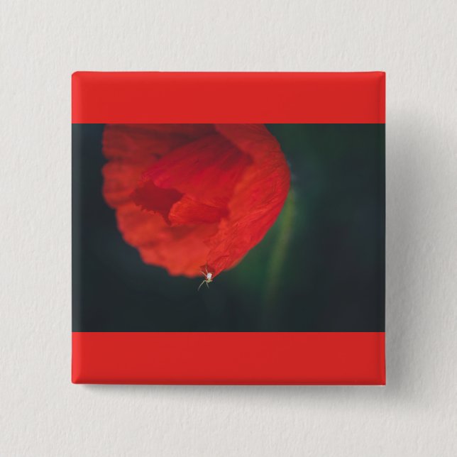 Mohn und Spinne Button (Vorderseite)