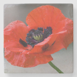 Mohn-Unterlage Steinuntersetzer