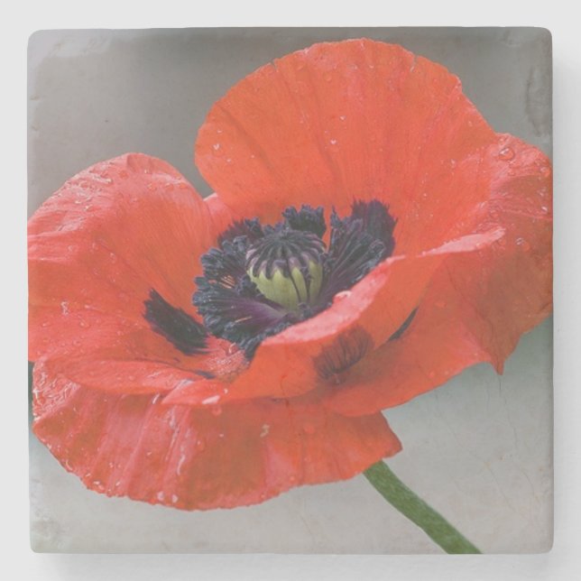 Mohn-Unterlage Steinuntersetzer (Vorderseite)
