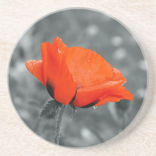 Mohn-Untersetzer Sandstein Untersetzer