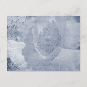 Mohnblume 2 postkarte