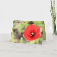 Mohnblume auf den Flandernfeldern Foto und Gedicht