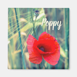 Mohnblume Blume für Gärtner und Blütengeschenk Magnet