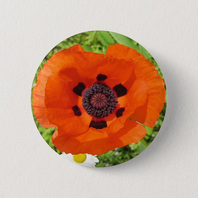 Mohnblume Button (Vorderseite)