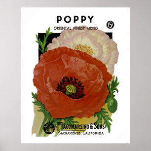 Mohnblume Poster