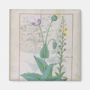 Mohnblume und Figwort Magnet