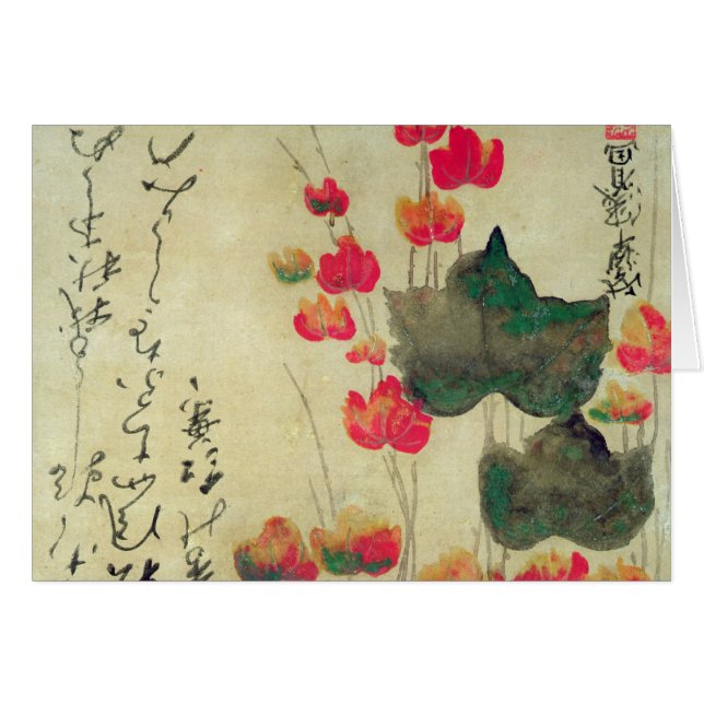 Mohnblumen (Vorderseite (Horizontal))