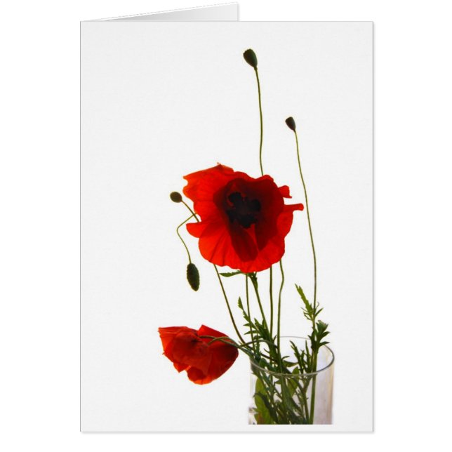 Mohnblumen (Vorne)