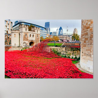 Mohnblumen am Tower Of London Rote Mohnblume Poster