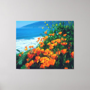 Mohnblumen an der Pazifikküste bei Big Sur Leinwanddruck
