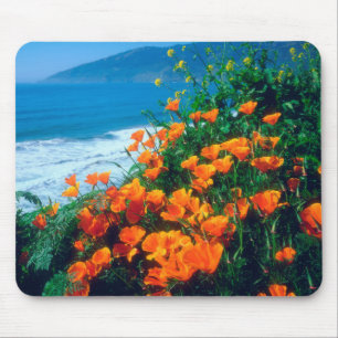 Mohnblumen an der Pazifikküste bei Big Sur Mousepad
