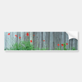 Mohnblumen auf einer Wand Autoaufkleber
