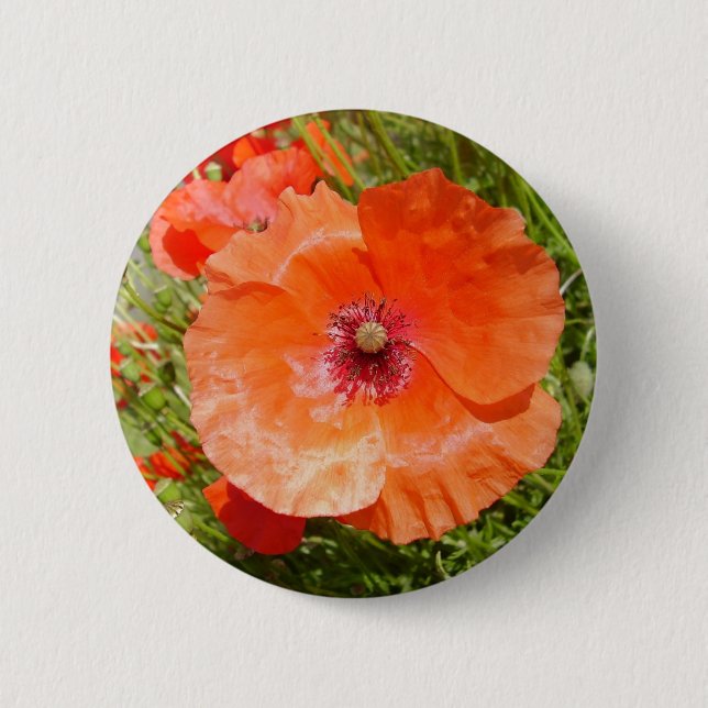 Mohnblumen - Coquelicots Button (Vorderseite)