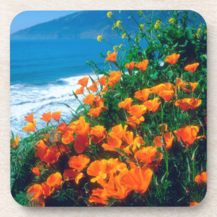 Mohnblumen entlang der Pazifikküste bei Big Sur Getränkeuntersetzer