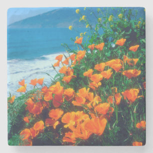 Mohnblumen entlang der Pazifikküste bei Big Sur Steinuntersetzer