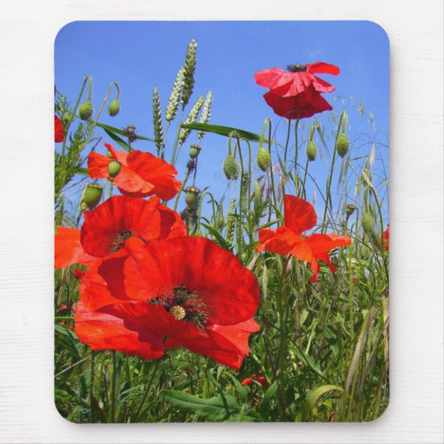 MOHNBLUMEN-FELD ~ Mousepad # 6 (Vorne)