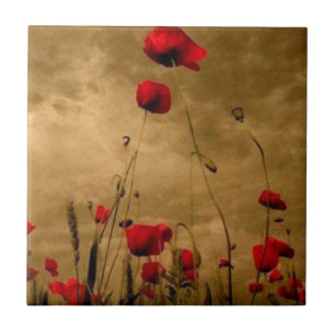 Mohnblumen Fliese