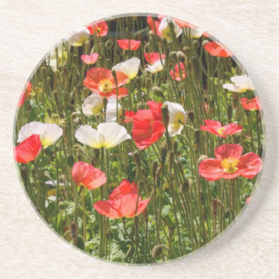 Mohnblumen Getränkeuntersetzer