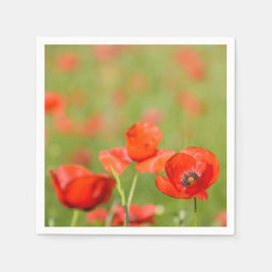 Mohnblumen in den Papierservietten eines