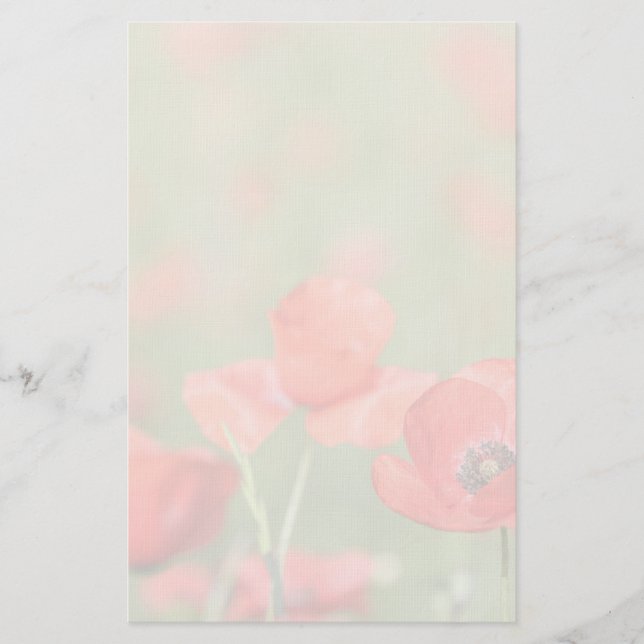 Mohnblumen in einem Mohnblumenfeldbriefpapier Briefpapier (Vorderseite)