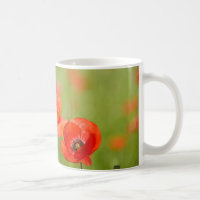 Mohnblumen in einer Mohnblumenfeld-Tasse