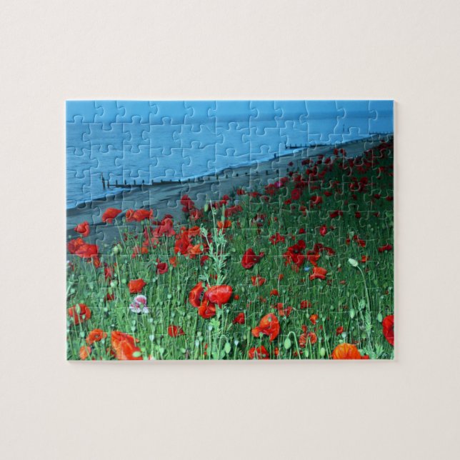 Mohnblumen in Southwold Puzzle (Horizontal)