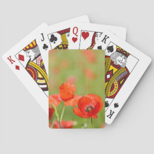 Mohnblumen in Spielkarten eines Mohnblumenfeldes