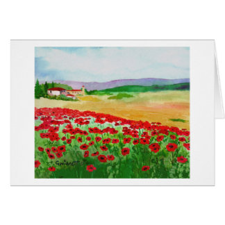 Mohnblumen in Toskana