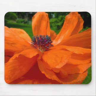 Mohnblumen-Mausunterlage Mousepad