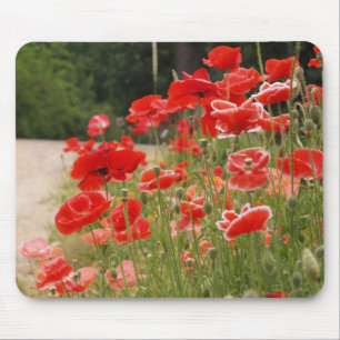 Mohnblumen mousepad