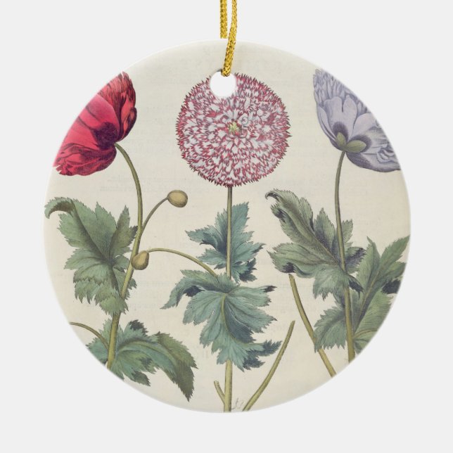 Mohnblumen: Multiplexalbumoris 1.Papaver Keramikornament (Vorne)