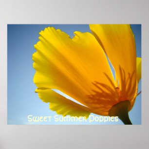 Mohnblumen Orange Mohnblüten 13 Kunst Drucke Poste