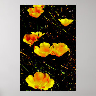 Mohnblumen Poster
