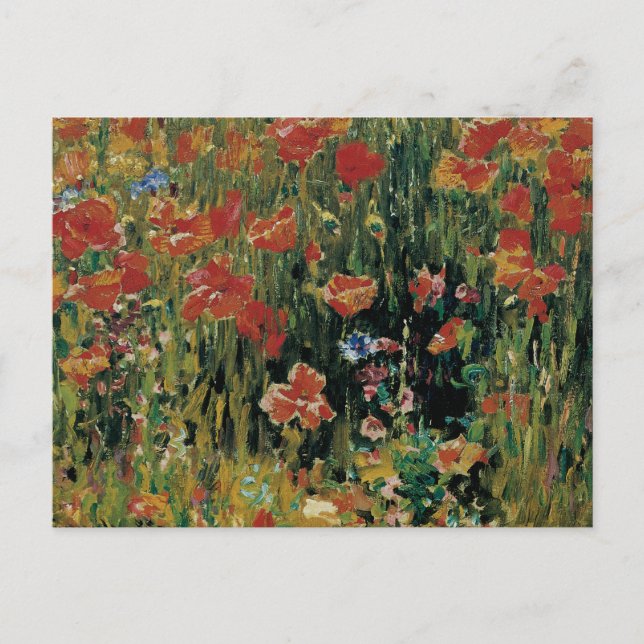 Mohnblumen Postkarte (Vorderseite)