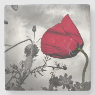 Mohnblumen-Rebe-Glauben-Hoffnungs-Liebe, die Steinuntersetzer