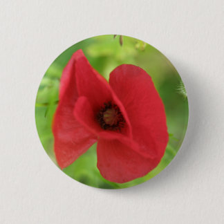 Mohnblumen-Rot Button