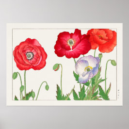 Mohnblumen, rot und Lila, von Tanigami Konan, Poster
