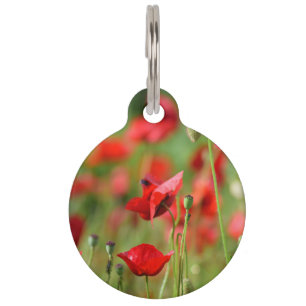 Mohnblumen Tiermarke