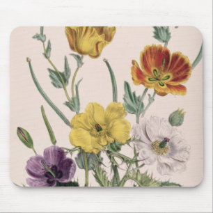 Mohnblumen und Anemonen Mousepad